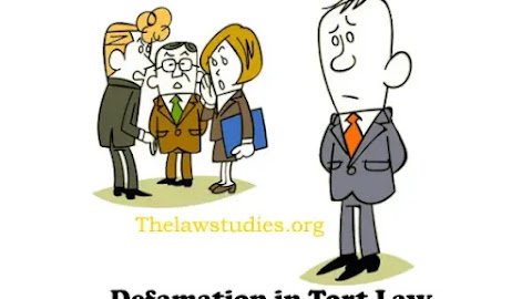 Defamation in Tort Law: An In-Depth Guide with Case Examples