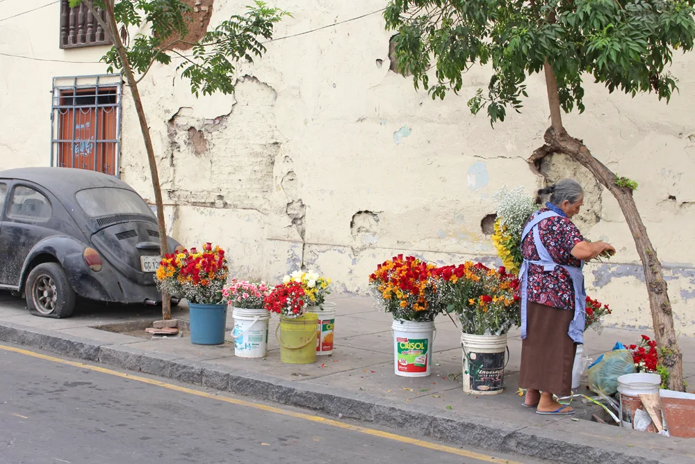 Street life in Lima, Peru - travel blog