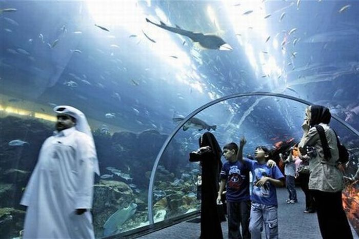 Giant Aquarium in Dubai Mall