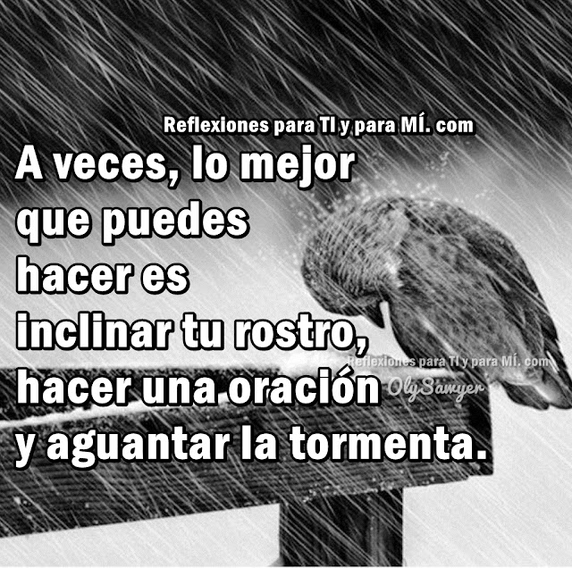 A veces, lo mejor que puedes hacer es inclinar tu rostro, hacer una oración y aguantar la tormenta.