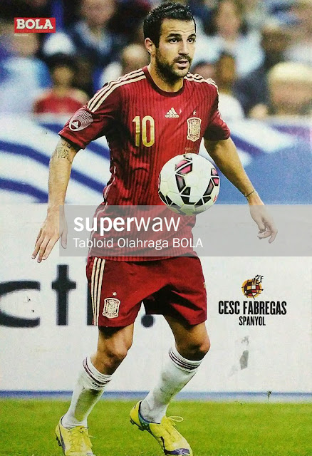 Cesc Fabregas Spain 2014