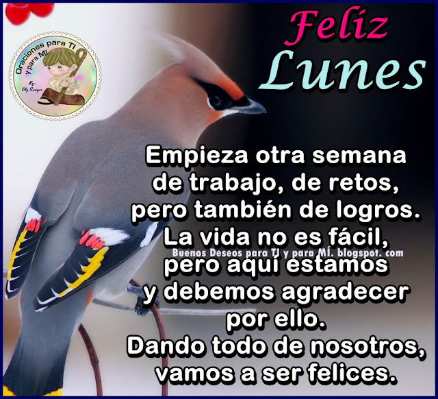 FELIZ LUNES  Empieza otra semana de trabajo, de retos, pero también de logros.  La vida no es fácil, pero aquí estamos y debemos agradecer por ello.