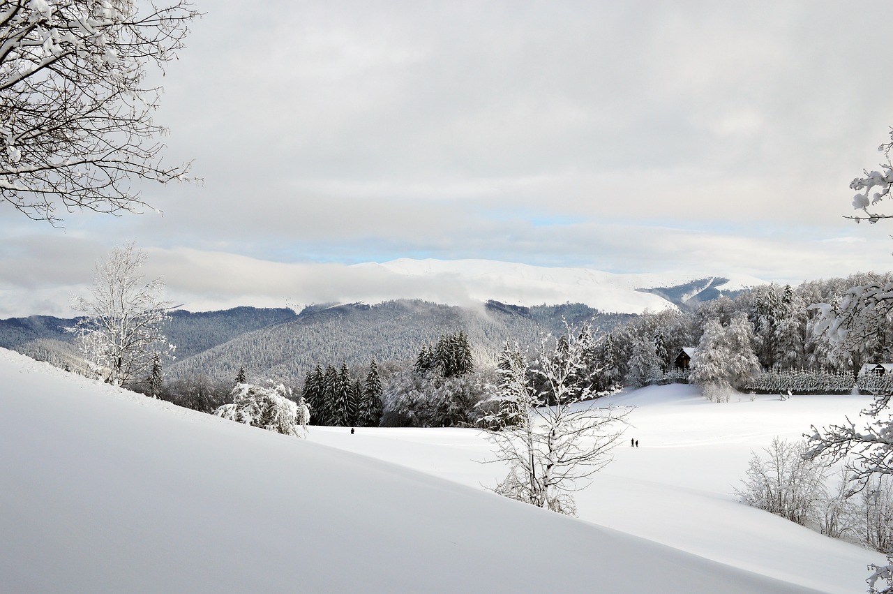 Skiing in Auli: The Winter Wonderland