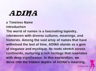 meaning of the name "ADINA"