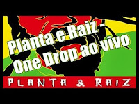 Planta e Raiz - one drop - ao vivo