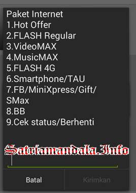 Paket Regular Data Telkomsel Akses *363#