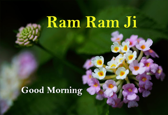 Good Morning Ram Ram Ji