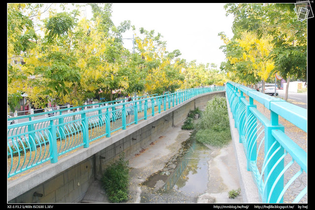 2018-06-08南投市-福岡路一段阿勃勒盛開