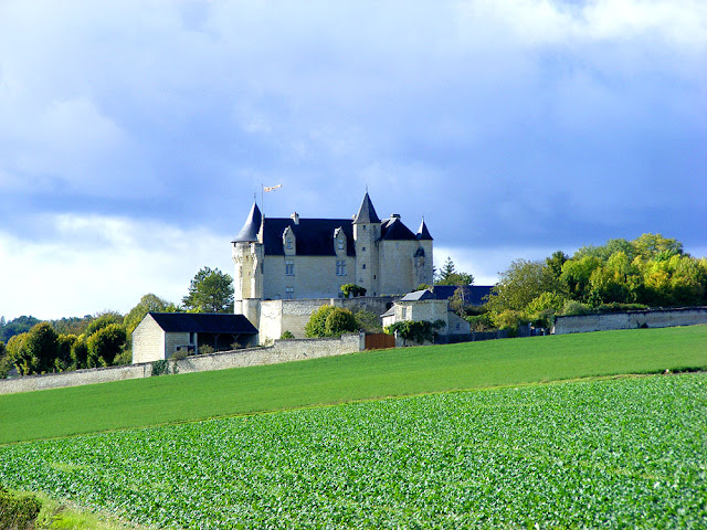 Chateau de la Motte-Usseau, Vienne, France. Photo by Loire Valley Time Travel.