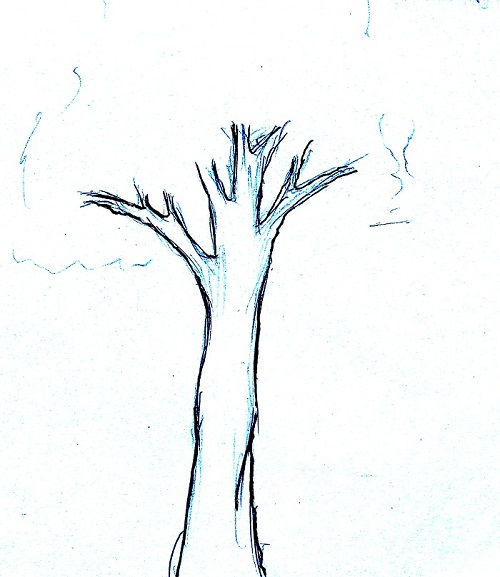 Cara menggambar pohon MUDAH SIMPEL MAYAGAMI