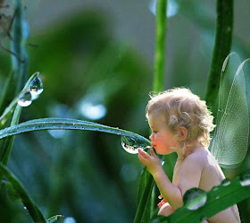 baby-angle-with-water-pearls