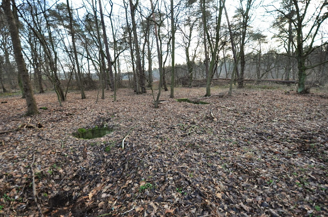 Grünziger Heidemühle/Goruński Młyn - grodzisko wczesnośredniowieczne