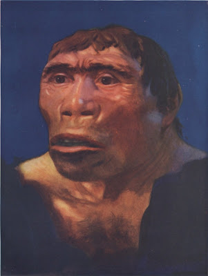 manusia_purba_Pithecanthropus_Erectus