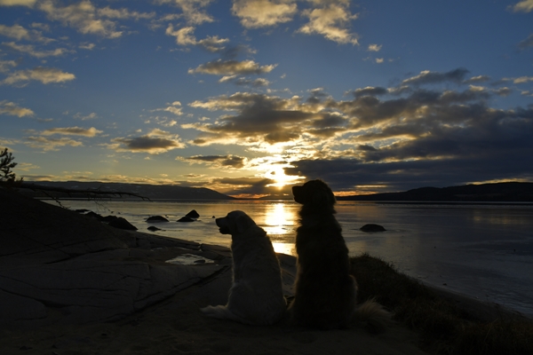 røsholmstranda tyrifjorden solnedgang