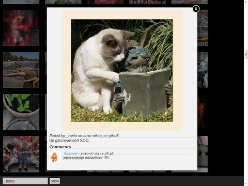 twitpicgallery
