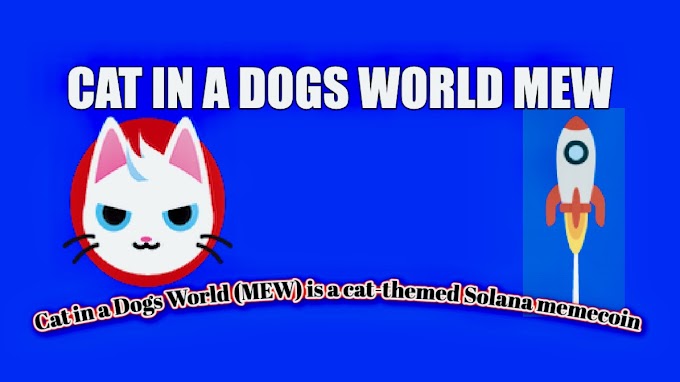 Cat in a Dogs World MEW Crypto Memecoin