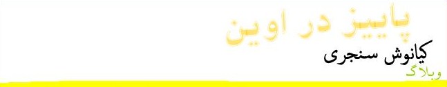 وبلاگ کیانوش سنجری