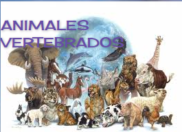 http://nutricionseresvivosbiologiaonce.blogspot.com.es/2011/08/respiracion-de-los-animales-vertebrados_25.html 