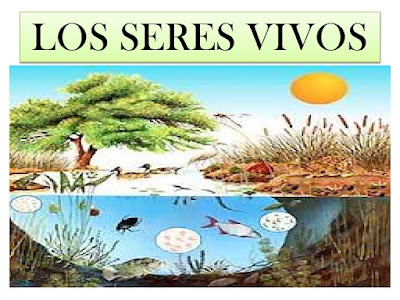 http://www.portaleducativo.net/cuarto-basico/618/seres-vivos-caracteristicas-clasificacion-ciclo-de-vida