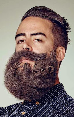 beards and mustaches designs