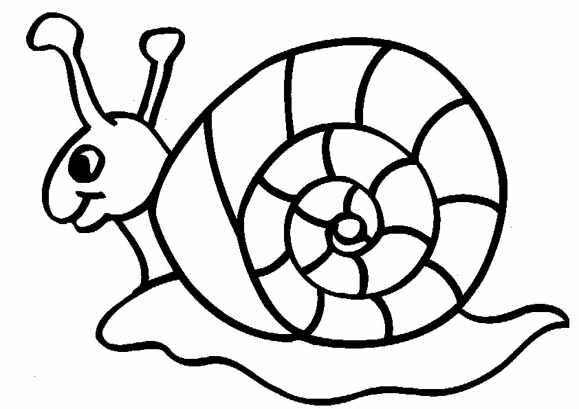 Snail Printable Coloring Sheet For Kids