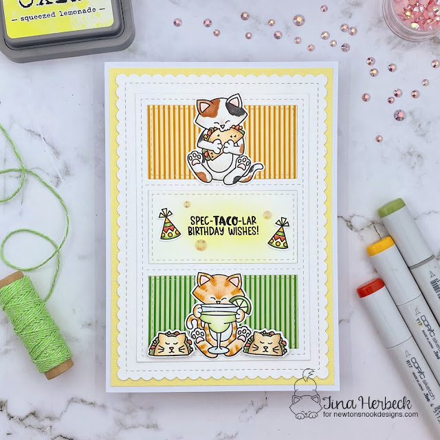 Taco Cat Birthday Card by Tina Herbeck | Newton Loves Tacos Stamp Set, Springtime Paper Pad and A7 Frames & Banners Die Set by Newton's Nook Designs #newtonsnook