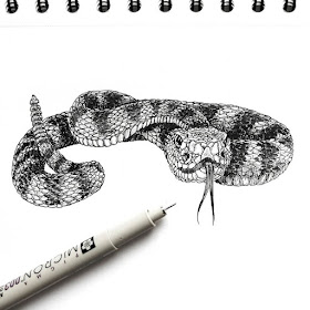 06-The-rattlesnake-Ink-drawings-Chewie-Co-www-designstack-co