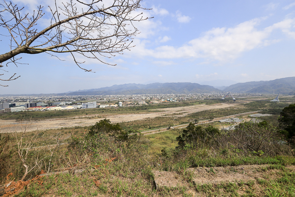 苗栗銅鑼炮仗花海公園的炮仗花牆瀑布和櫻花隧道盛開，賞花好去處