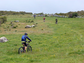 Unas fotos de nuestra ruta de Ávila a El Escorial - Junio 2013