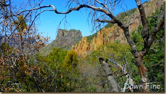 South rim hike,Big bend_087