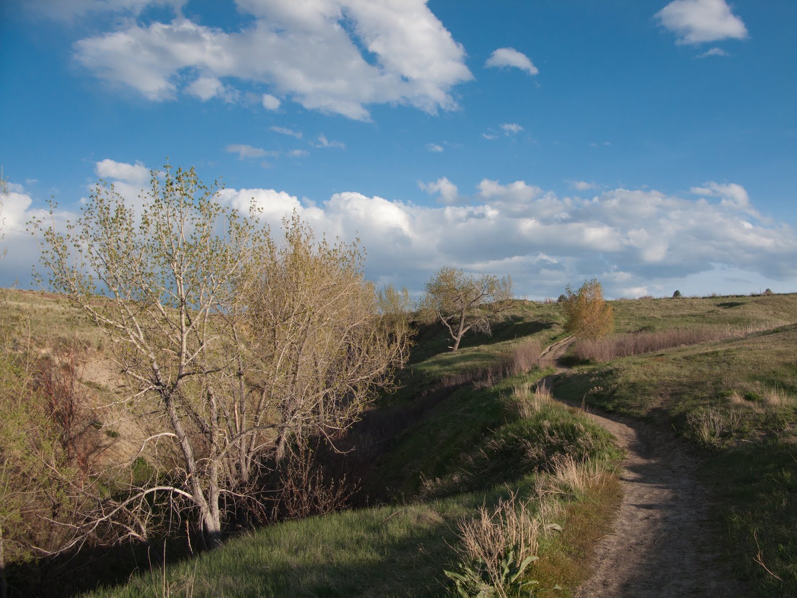 Arvada Landscaping