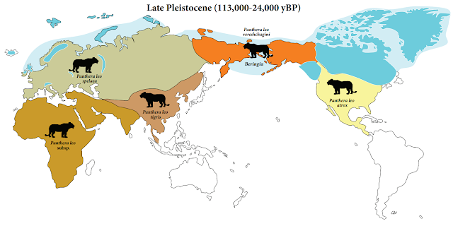 Mapa de la distribución del león europeo - Panthera leo spelaea