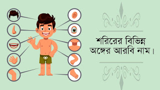 শরিরের বিভিন্ন অঙ্গের নাম আরবি
