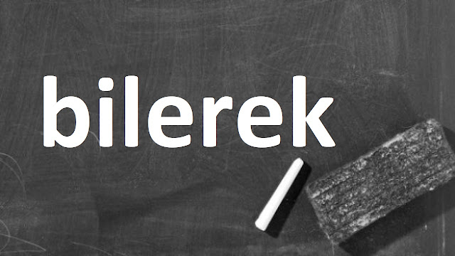 bilerek