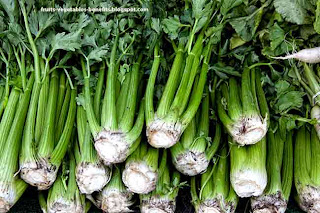 benefits _of_juicing_celery_fruits-vegetables_benefitsblogspot.com(7)