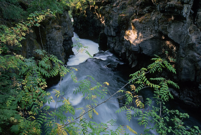 small falls on a river with rocky sides and ferns