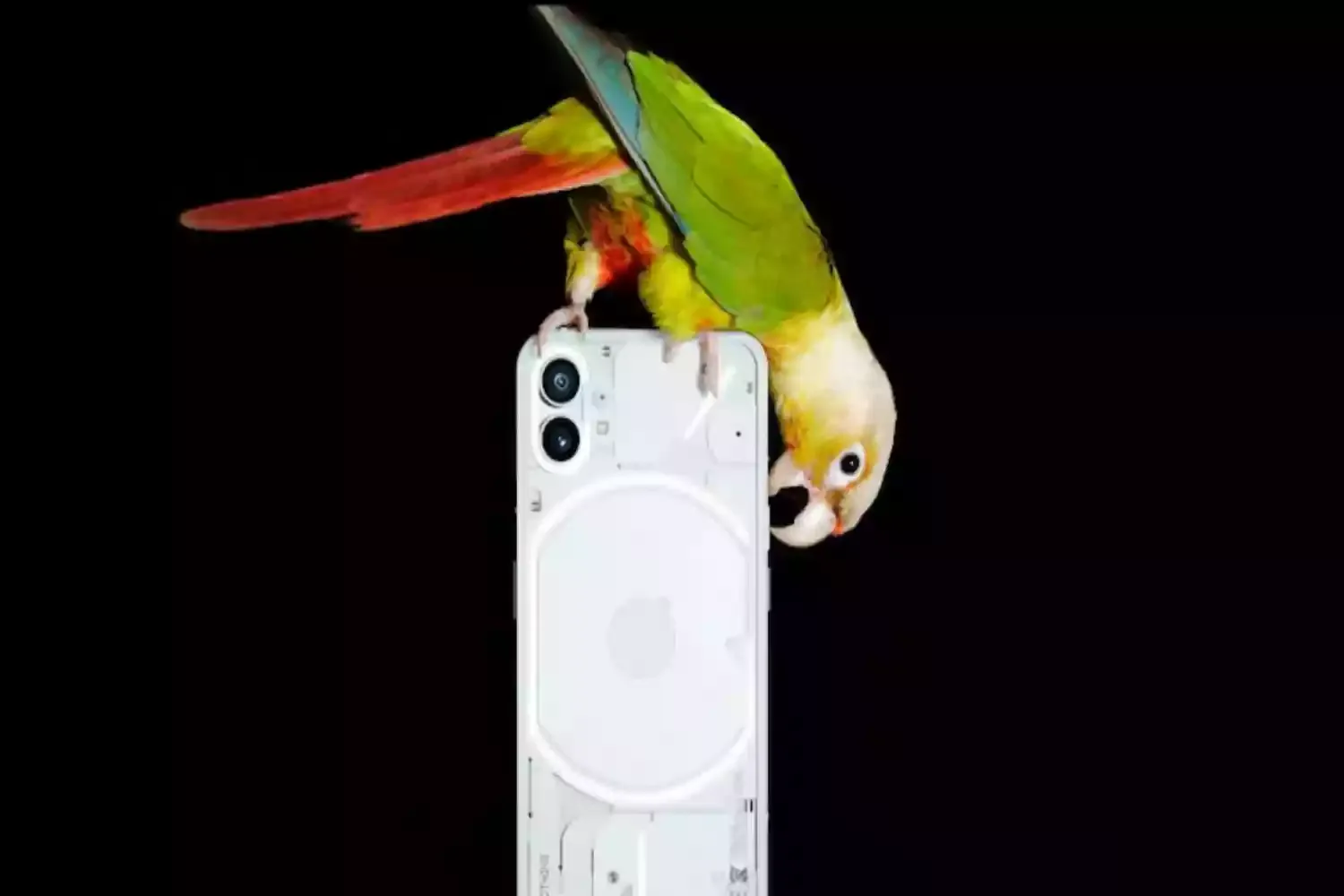 Nothing Phone 1