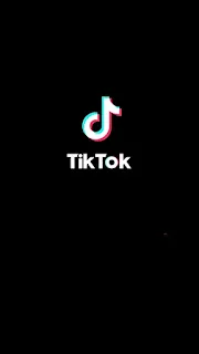 open the tiktok app