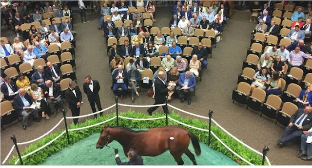 how to buy a horse at an auction