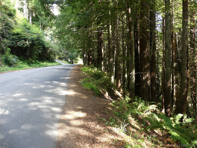 trail dropping from the road