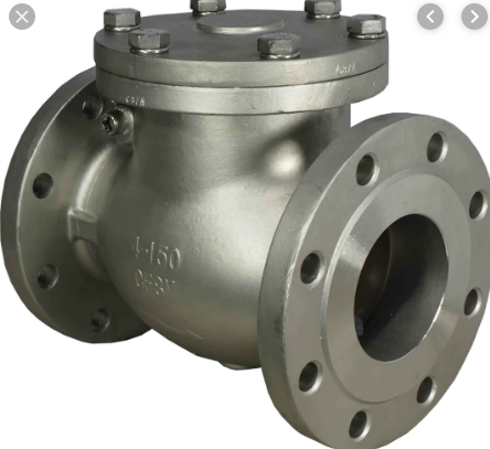 Check valve