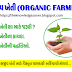 સજીવ ખેતી:સજીવ ખેતી (Organic Farming) એટલે શું ? જાણીએ સજીવ ખેતીના વિશે.