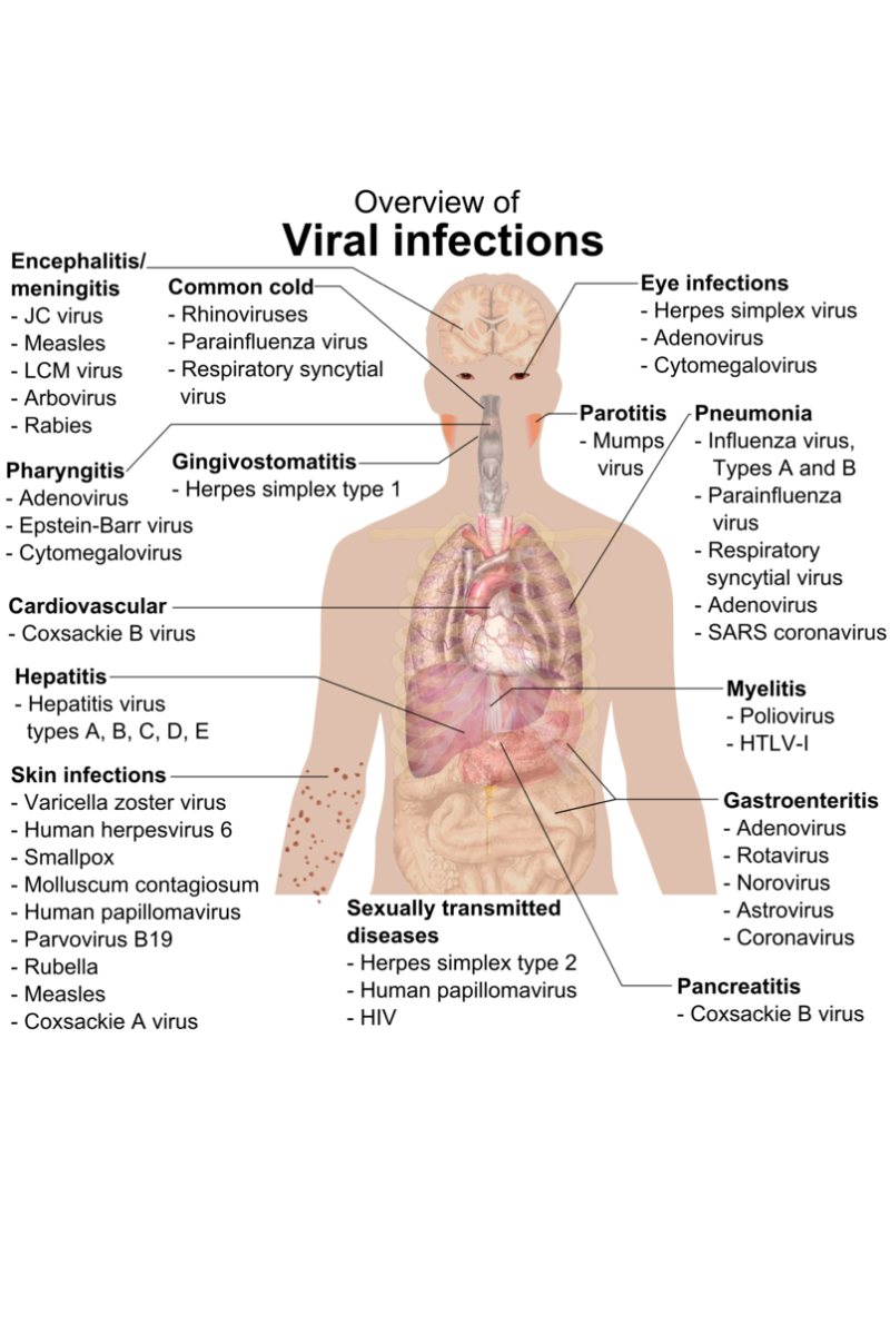 VIRAL INFECTION