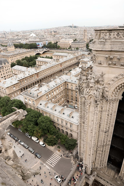 View from the Top of Notre Dame | Tips and Tricks