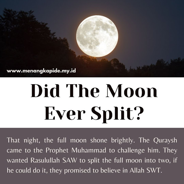 Moon was once split into two