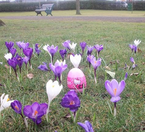 Hello Kitty Easter Eggs. very last Hello Kitty egg