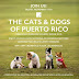 Los Perros y Gatos de Puerto Rico protagonizan el Holiday Book de
Reinhold! Imagen PR