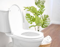 a toilet with a plant