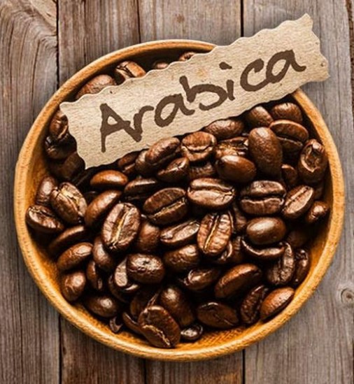 jenis biji kopi arabika