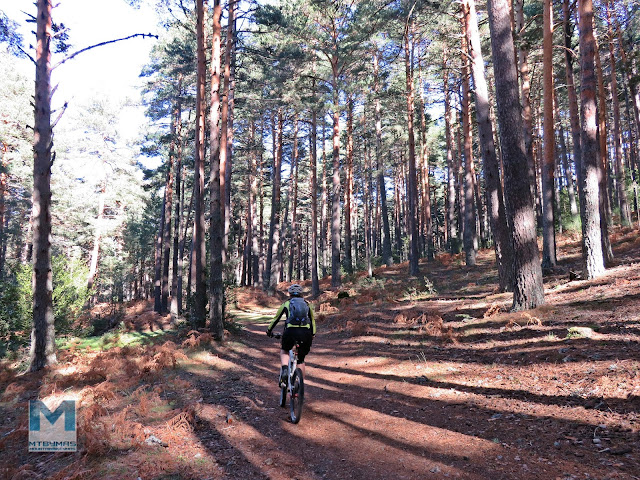 RUTA DE OTOÑO EN RASCAFRIA